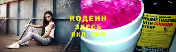 амф Арсеньев