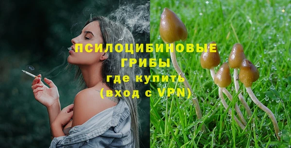 ECSTASY Рославль