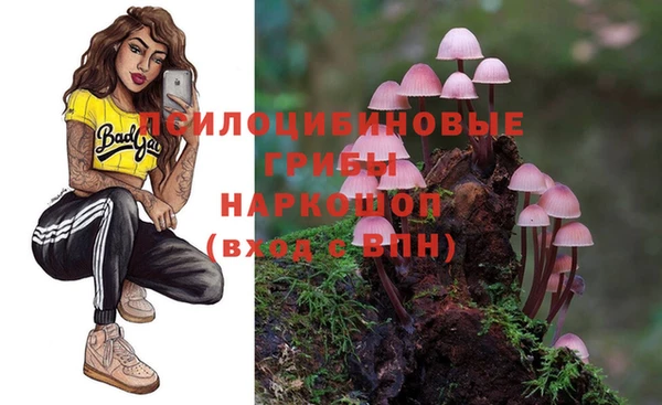 крисы Россошь