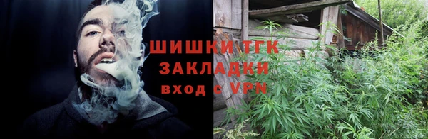 амф Арсеньев
